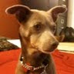 Meet your Posher, Terri